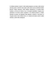 Referāts 'Vīna kultūras ietekme tūrismā', 17.