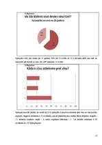 Referāts 'Vīna kultūras ietekme tūrismā', 23.