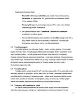 Eseja 'Varakļānu tūrisma attīstības plāns', 4.