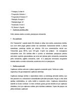 Prakses atskaite 'Mazumtirdzniecības organizēšana SIA "Zemniecība"', 5.