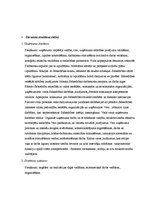 Prakses atskaite 'Mazumtirdzniecības organizēšana SIA "Zemniecība"', 6.