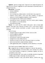 Referāts 'Veselīgs uzturs', 19.