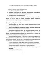 Referāts 'Policijas darbinieka vispārējās tiesības un to nozīme policijas pienākumu veikša', 7.