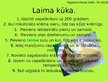 Prezentācija 'Laims', 5.
