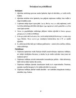 Prakses atskaite 'Mārketinga (tirgzinību) prakses atskaite', 19.