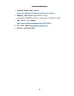 Prakses atskaite 'Mārketinga (tirgzinību) prakses atskaite', 20.