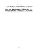 Biznesa plāns 'Biznesa plāns uzņēmumam "Vēža Spīlēs"', 4.