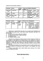 Biznesa plāns 'Biznesa plāns uzņēmumam "Vēža Spīlēs"', 9.