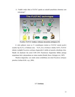 Referāts 'Parazitoloģija Passalurus ambiguus', 13.