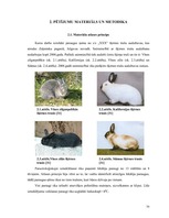 Referāts 'Parazitoloģija Passalurus ambiguus', 16.