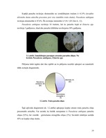 Referāts 'Parazitoloģija Passalurus ambiguus', 19.