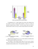 Referāts 'Parazitoloģija Passalurus ambiguus', 20.