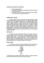 Eseja 'Organizācijas "Papardes zieds" analīze', 2.