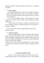 Referāts 'Latvijas un Igaunijas augstākās izglītības sistēmas salīdzinājums', 5.