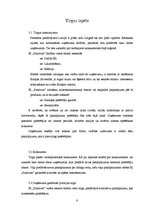 Biznesa plāns 'Individuālais komersants "Paintwar" ', 8.