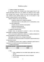 Biznesa plāns 'Individuālais komersants "Paintwar" ', 11.