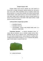 Referāts 'Mikrobioloģiskie procesi kompostēšanas ieguvē', 7.
