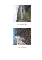 Referāts 'Mikrobioloģiskie procesi kompostēšanas ieguvē', 13.