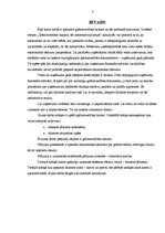 Referāts 'Grāmatvedības bilance, tās informatīvais saturs', 3.