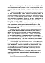 Referāts 'Grāmatvedības bilance, tās informatīvais saturs', 7.