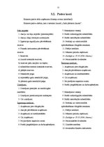 Referāts 'Grāmatvedības bilance, tās informatīvais saturs', 11.