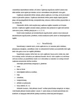 Referāts 'Grāmatvedības bilance, tās informatīvais saturs', 13.