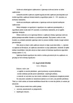 Referāts 'Grāmatvedības bilance, tās informatīvais saturs', 17.