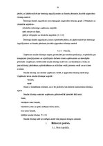 Referāts 'Grāmatvedības bilance, tās informatīvais saturs', 19.