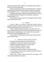 Referāts 'Grāmatvedības bilance, tās informatīvais saturs', 21.