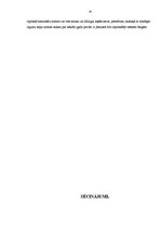 Referāts 'Grāmatvedības bilance, tās informatīvais saturs', 24.