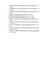 Referāts 'Grāmatvedības bilance, tās informatīvais saturs', 26.