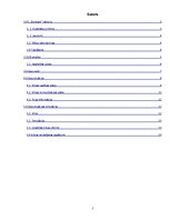 Paraugs 'AS "Dzintars" krīzes plāna izstrādes paraugs', 2.