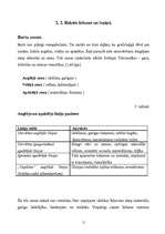 Referāts 'Grafoloģija', 11.