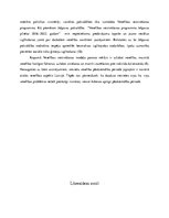 Referāts 'Nolas Penderes teorijas analīze', 8.