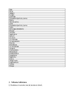 Konspekts 'Treniņa lapa, lai sagatavotos latīņu valodas pārbaudas darbam', 2.