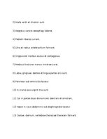 Konspekts 'Treniņa lapa, lai sagatavotos latīņu valodas pārbaudas darbam', 3.