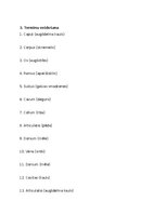 Konspekts 'Treniņa lapa, lai sagatavotos latīņu valodas pārbaudas darbam', 4.