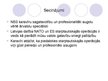 Referāts 'Latvijas Republikas Nacionālo bruņoto spēku dalība starptautiskajās misijās', 47.