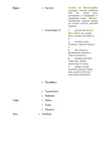 Konspekts 'Seno Austrumu vēsture', 5.