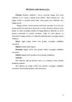 Referāts 'Kopīgu maltīšu loma ģimenes savstarpējo attiecību veicināšanā', 5.