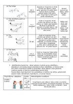 Konspekts 'Zemas intensitātes treniņš', 4.