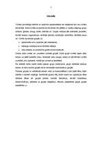 Konspekts 'Grupas, to veidi un būtība', 3.