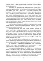 Referāts 'Cilvēka pamattiesību starptautiski tiesiskā kodifikācija, klasifikācija un regul', 7.