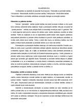 Referāts 'Cilvēka pamattiesību starptautiski tiesiskā kodifikācija, klasifikācija un regul', 9.