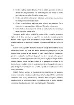 Eseja 'Klasvadība. Demokrātisms', 3.