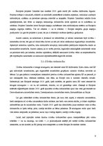 Referāts 'Eiropola galvenie darbības virzieni', 8.