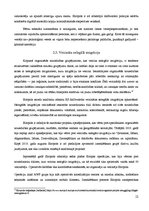 Referāts 'Eiropola galvenie darbības virzieni', 11.