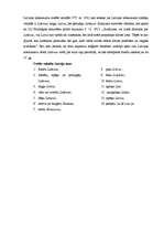 Konspekts 'Termina "Latvija" vēsturiskā izcelšanās un attīstība', 4.