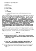 Paraugs 'Paraugs par produkta ieviešanu Latvijā', 8.