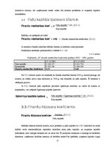 Referāts 'Finanšu analīzes rādītāji un šo rādītāju pielietošana uzņēmuma "X" analīzē', 10.